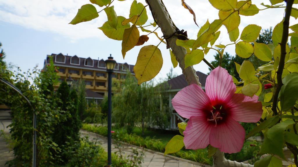 River Side Hotel Mingeçevir Dış mekan fotoğraf